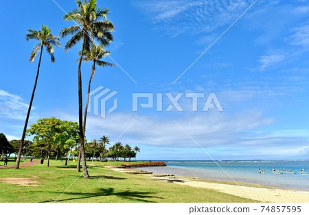 Holidays in Hawaii 74857595