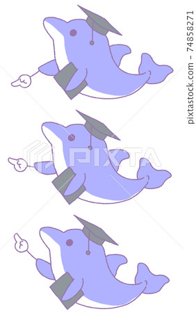 3 types of dolphins pointing to something (blue) 74858271