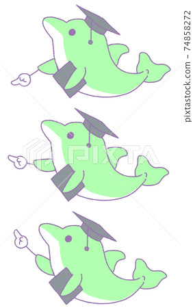 3 types of dolphins pointing to something (green) 74858272