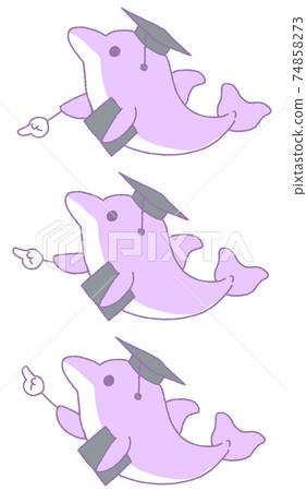 3 kinds of dolphins pointing to something (purple) 74858273