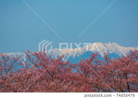 桃園鄉和南阿爾卑斯山 74858479