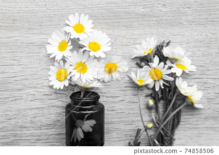 Moisturizing cream based of natural herbal ingredients. Chamomile cream in small jar yellow chamomile flowers on gray background top view copy space pattern. medicine and health, ecology, hope concept Moisturizing cream based of natural herbal ingredients. Chamomile cream in small jar yellow chamomile flowers on gray background top view copy space pattern. medicine and health, ecology, hope concept 74858506