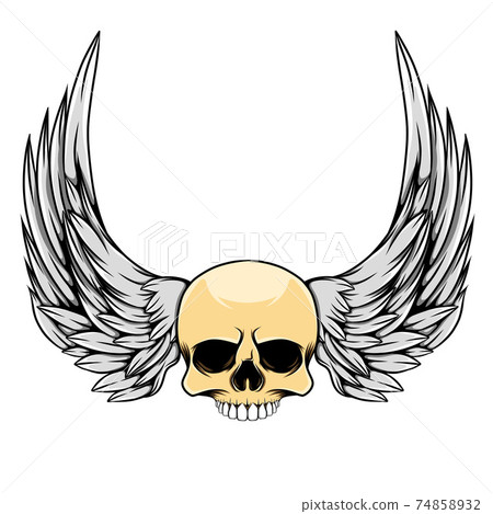 The vintage illustration of the head skull with the long wings 74858932