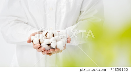 Cotton cotton ball at hand 74859160