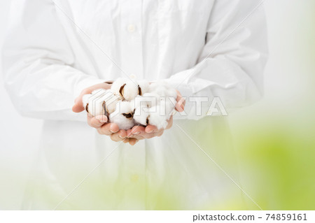 Cotton cotton ball at hand Cotton cotton ball at hand 74859161
