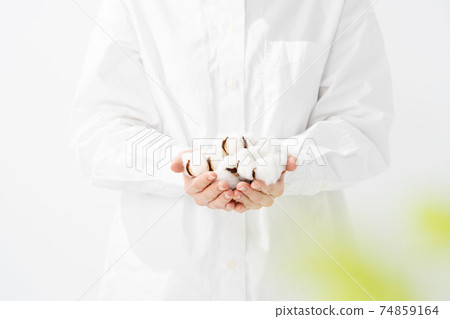 棉花棉花球在手 74859164