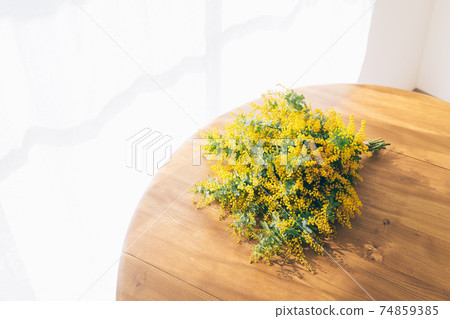 含羞草花束和老式表 含羞草花束和老式表 74859385