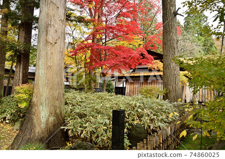Autumn scenery of the historic site Odano House 74860025