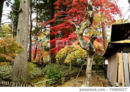 Autumn scenery of the historic site Odano House 74860027