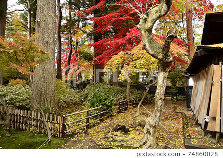 Autumn scenery of the historic site Odano House 74860028