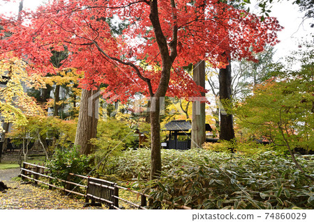 Autumn scenery of the historic site Odano House 74860029