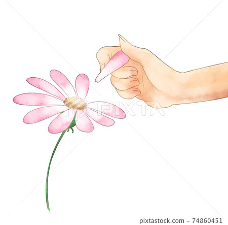 <Illustration material> Flower fortune-telling watercolor style <Illustration material> Flower fortune-telling watercolor style 74860451