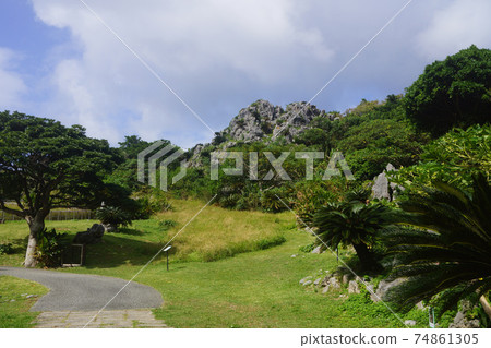 Scenery of Daisekirinzan, Kunigami Village, Okinawa Prefecture 74861305