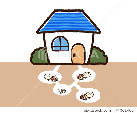 House and termite nest 74861406