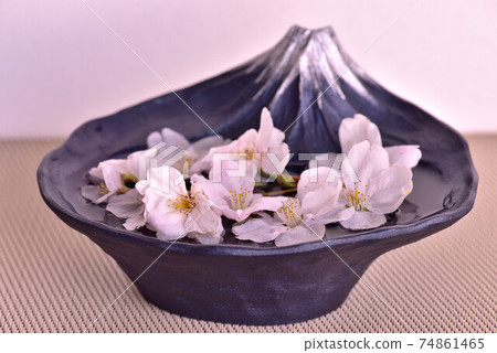 Sakura Sakura 74861465