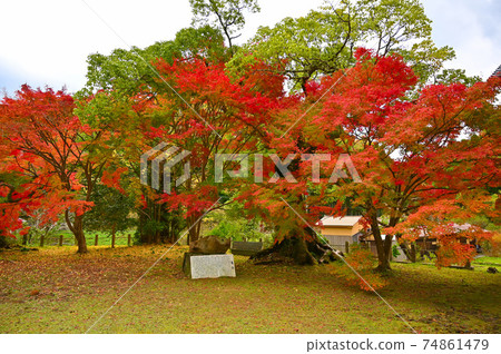 上見神社在岩田區岩見銀座大田區 上見神社在岩田區岩見銀座大田區 74861479