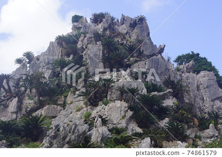 Goku Rock In Daisekirinzan Kunigami Village Stock Photo