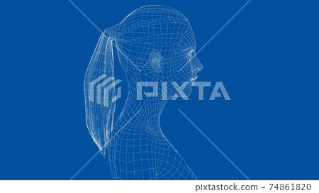 Wireframe portrait of a young beautiful girl 74861820