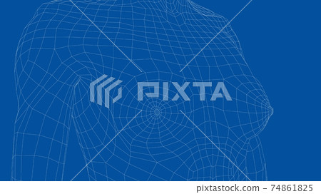 Wireframe female breast. Close-up view Wireframe female breast. Close-up view 74861825