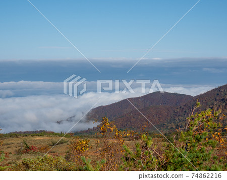 Midagahara in autumn 74862216