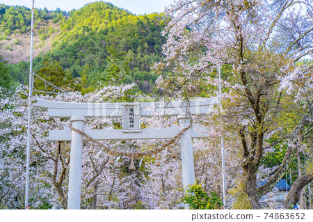 春天有明山神社[長野縣] 74863652