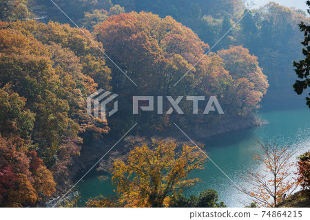 Lake Miyagase in the autumn Lake Miyagase in the autumn 74864215