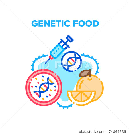 Genetic Food Vector Concept Color Illustration Genetic Food Vector Concept Color Illustration 74864286