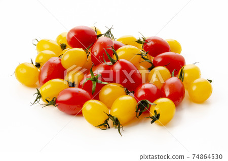 迷你番茄愛子 74864530