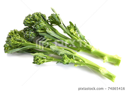 Stick broccoli Stick broccoli 74865416