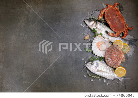 Several fishes, crab and shells with space for writing Several fishes, crab and shells with space for writing 74866045