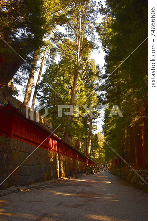 The approach from Toshogu to Futarasan Shrine 74866606