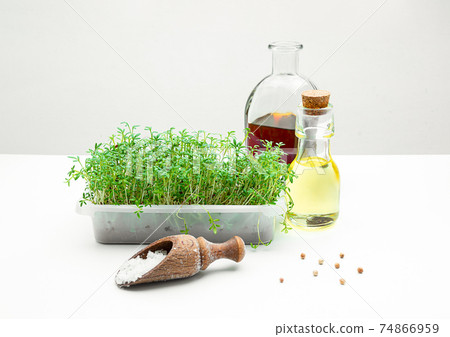 A box with micro greens 74866959
