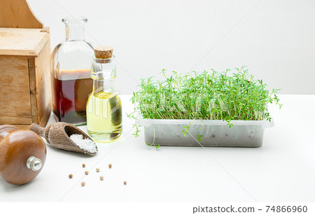 Micro greens on the kitchen table 74866960