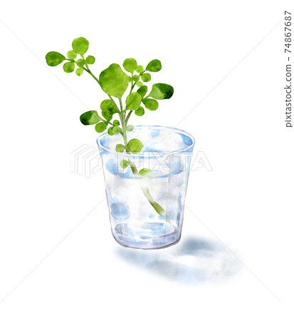 豆瓣水彩畫在一杯 74867687