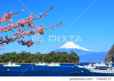 伊豆箱根國家公園愛達春天 伊豆箱根國家公園愛達春天 74868235
