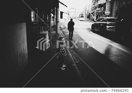 Shanghai landscape 74868291