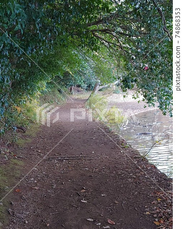 Hiding path Hiding path 74868353