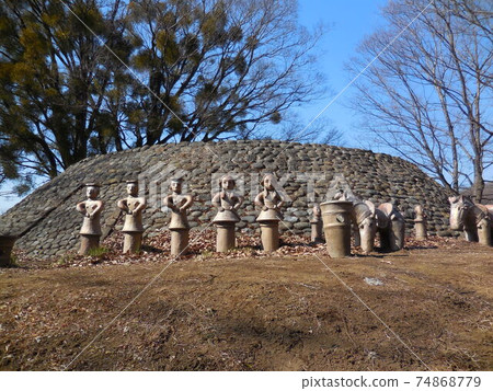 大室公園的花i 74868779