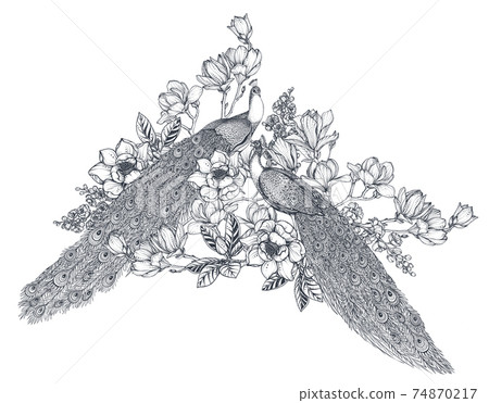 Vector bouquet of hand drawn peacocks, doodle magnolia and sakura flowers. Beautiful romantic elegant floral composition Vector bouquet of hand drawn peacocks, doodle magnolia and sakura flowers. Beautiful romantic elegant floral composition 74870217