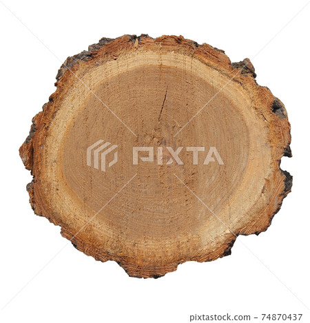 A cut of sawn wood. A piece of wood on a white background 74870437