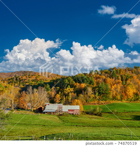 Jenne Farm with barn at sunny autumn day Jenne Farm with barn at sunny autumn day 74870519