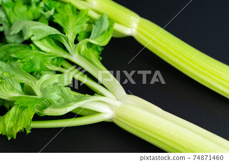 celery  74871460