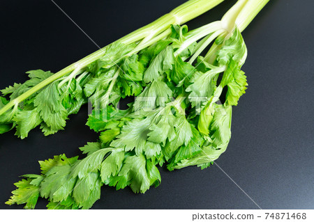 celery  74871468