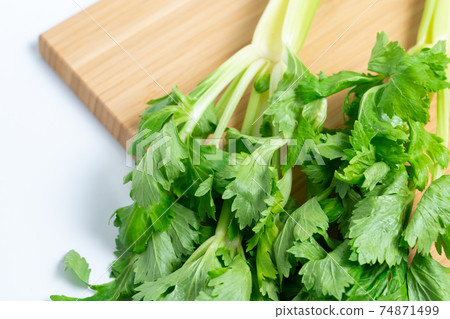 celery celery 74871499