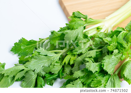celery  74871502