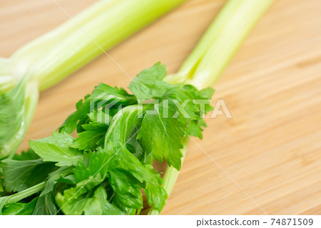 celery celery 74871509