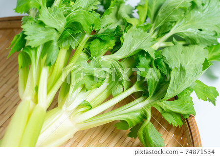 celery celery 74871534