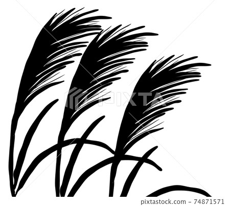 Beautiful pampas grass silhouette - Stock Illustration [74871571] - PIXTA