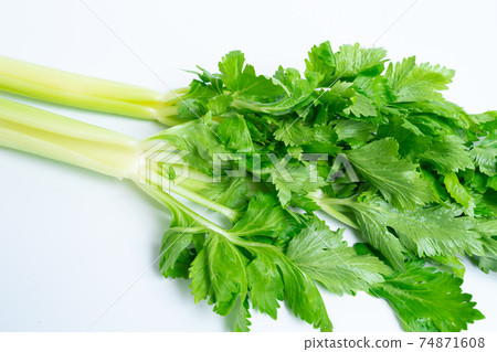 celery  74871608