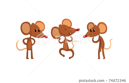Funny Mice in Different Action Poses Set, Cute Comic Rodents Characters with Various Emotions Cartoon Style Vector Illustration Funny Mice in Different Action Poses Set, Cute Comic Rodents Characters with Various Emotions Cartoon Style Vector Illustration 74872346